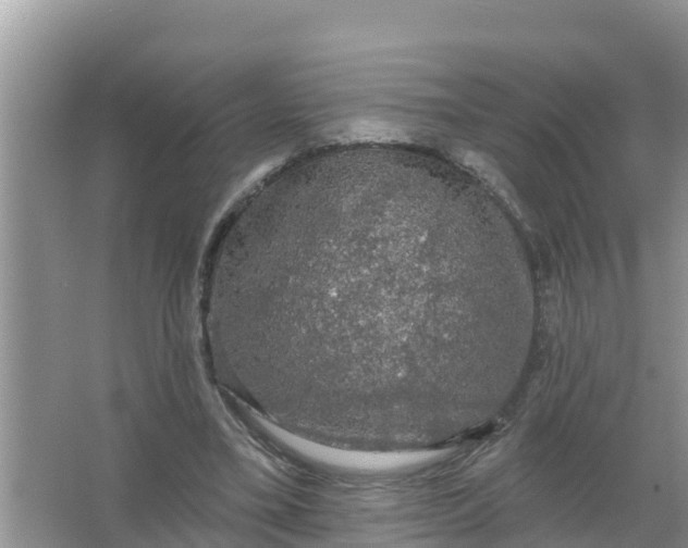 X0000066970395200604072036