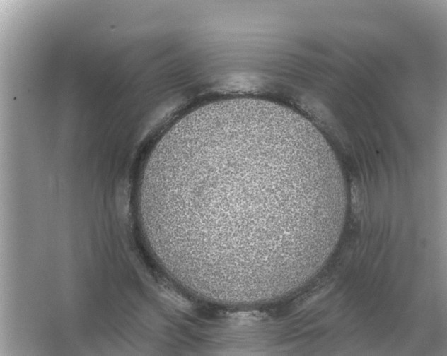 X0000066970396200604072036