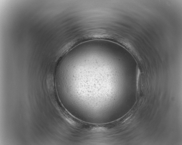 X0000066970397200604072036