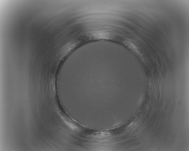 X0000066970398200604072036