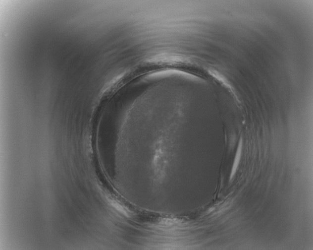 X0000066970399200604072036