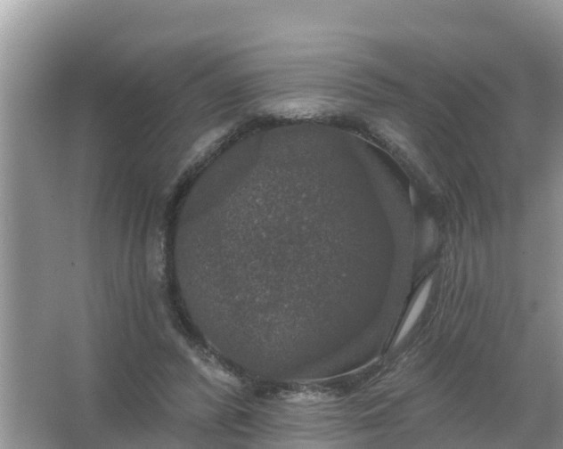 X0000066970400200604072036