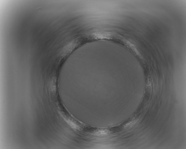 X0000066970402200604072036