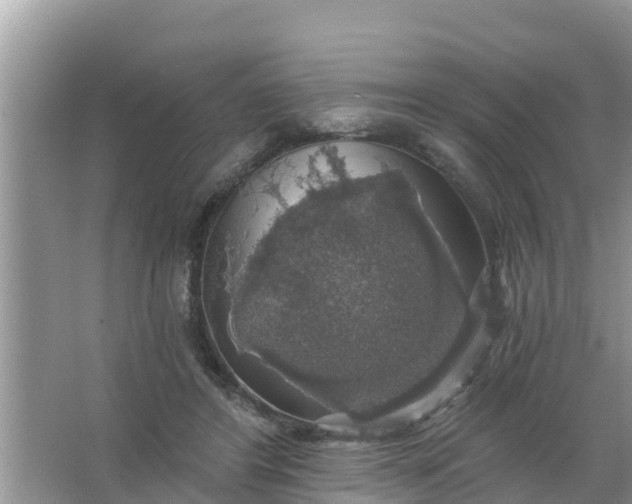 X0000066970404200604072036