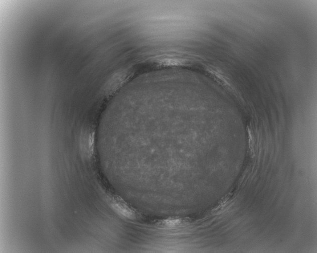 X0000066970406200604072035