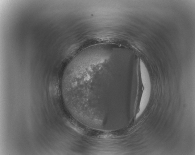 X0000066970408200604072035