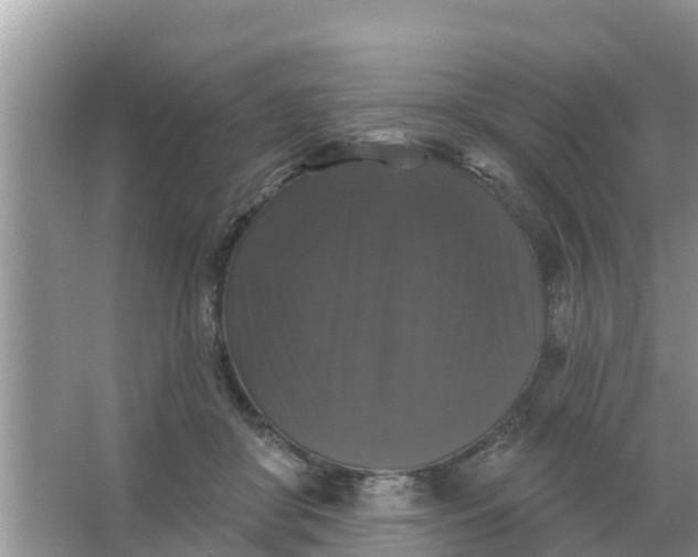 X0000066970410200604072035