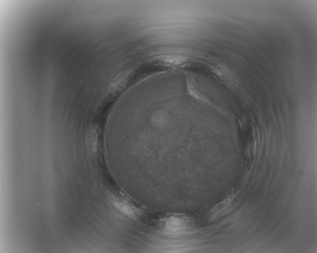 X0000066970412200604072035