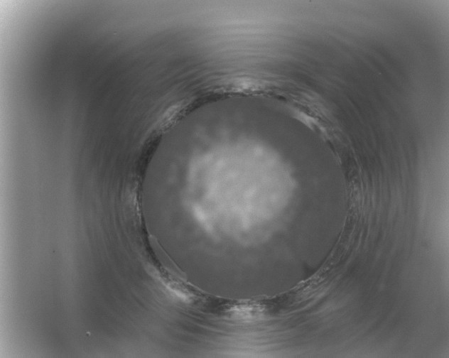 X0000066970415200604072035