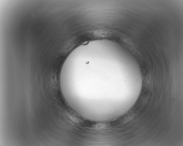 X0000066970418200604072035