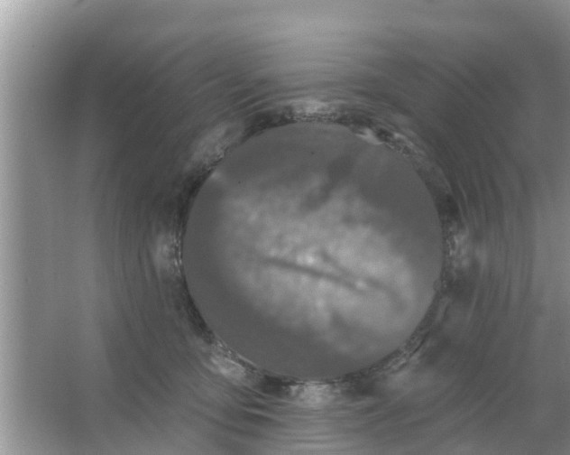 X0000066970419200604072035