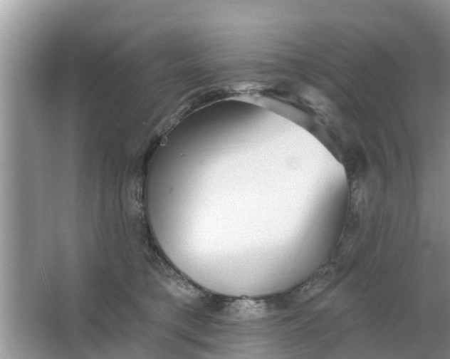 X0000066970421200604072035