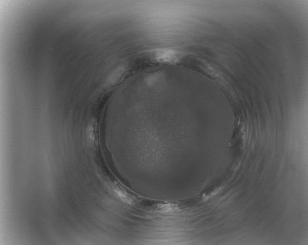 X0000066970424200604072035