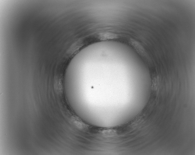 X0000066970426200604072035