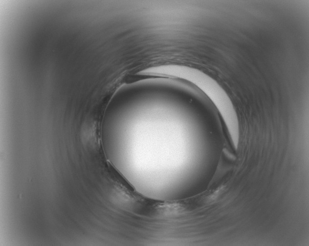 X0000066970428200604072035