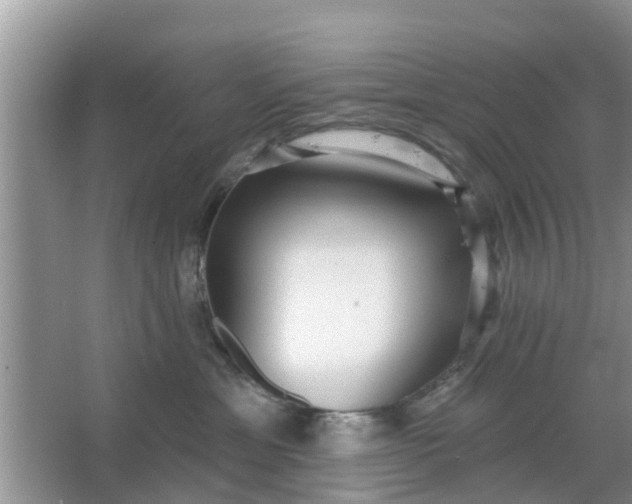 X0000066970429200604072035