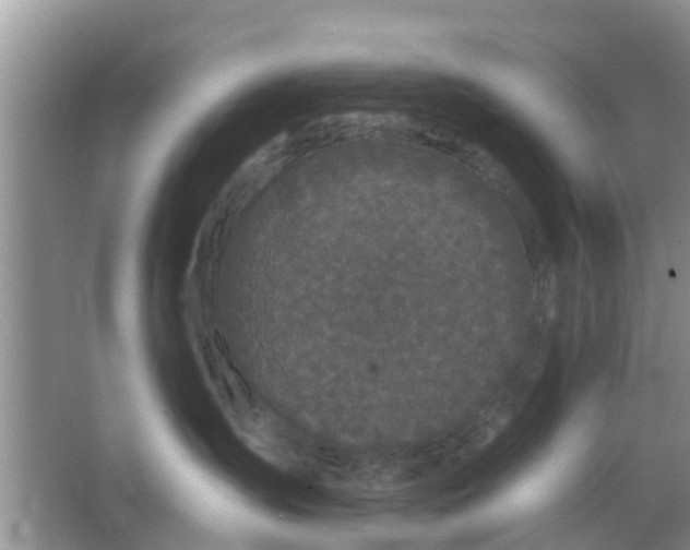 X0000066970431200604072035