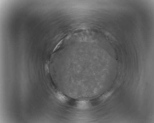 X0000066970432200604072035