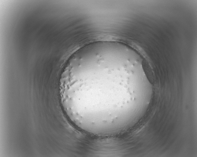 X0000066970433200604072034