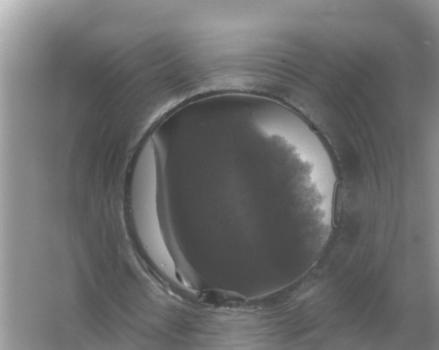 X0000066970434200604072034