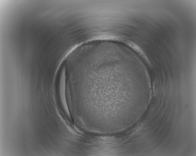 X0000066970436200604072034