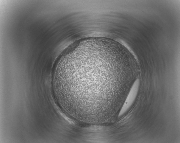 X0000066970437200604072034