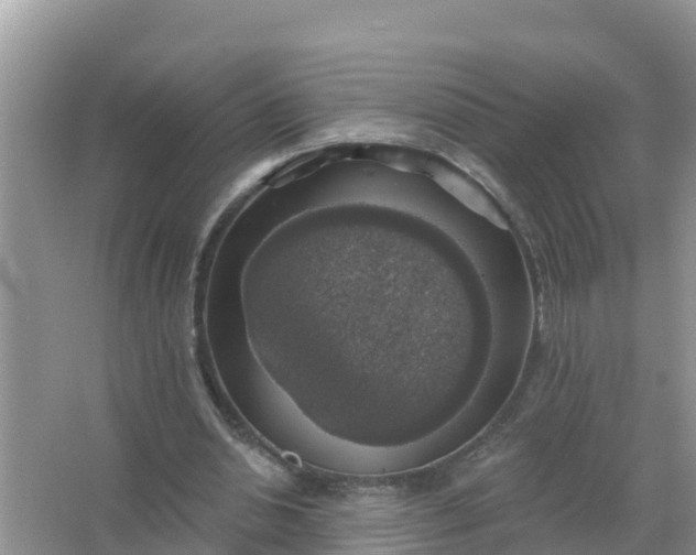 X0000066970438200604072034