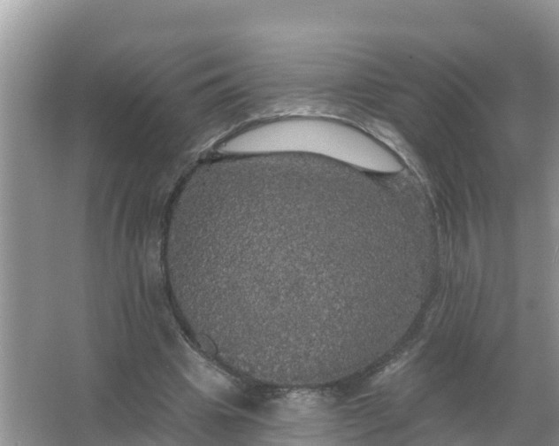 X0000066970441200604072034