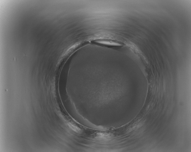 X0000066970442200604072034