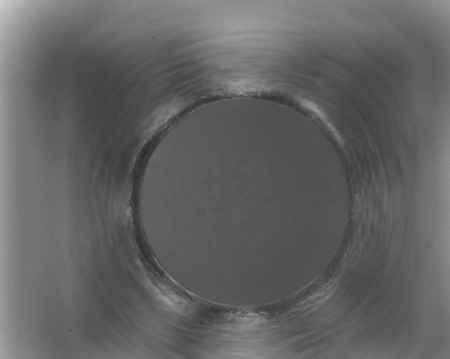 X0000066970443200604072034