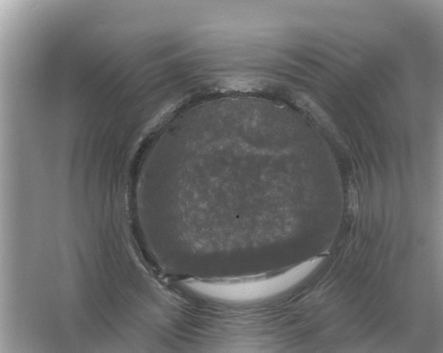 X0000066970444200604072034