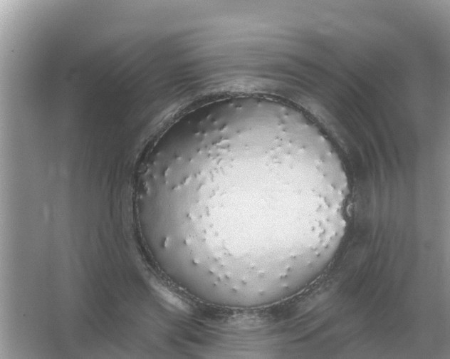 X0000066970445200604072034