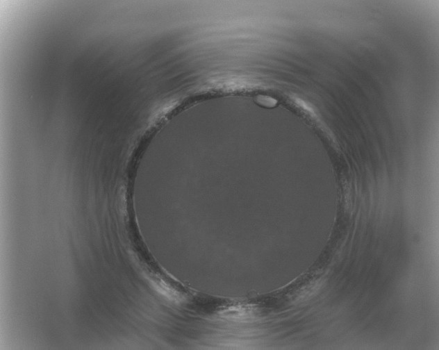 X0000066970447200604072034