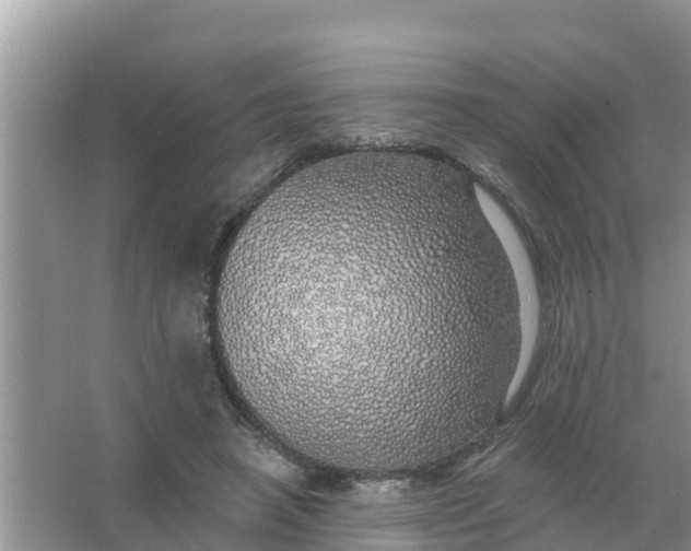 X0000066970450200604072035