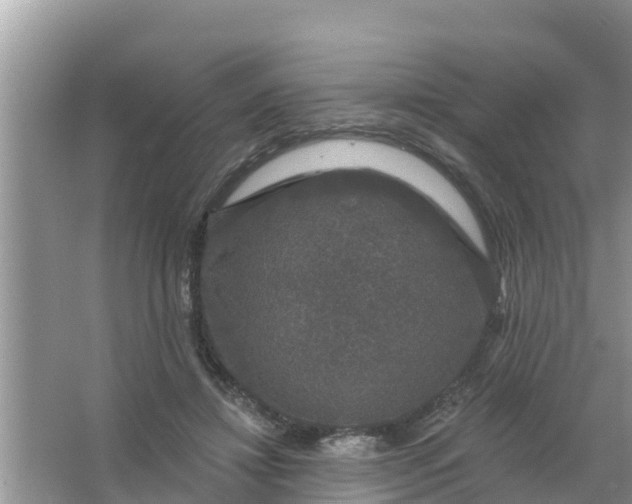 X0000066970452200604072035