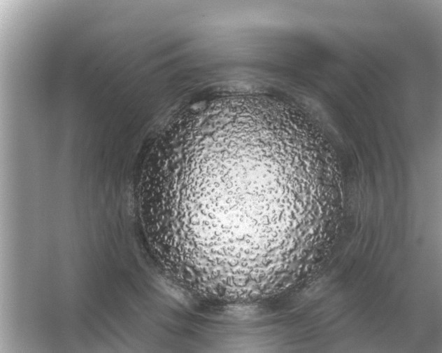 X0000066970457200604072035