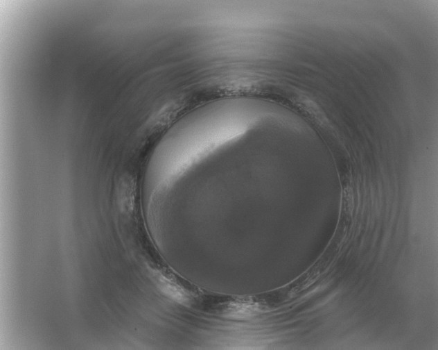 X0000066970458200604072035