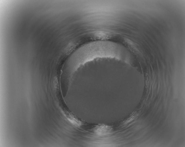 X0000066970459200604072035