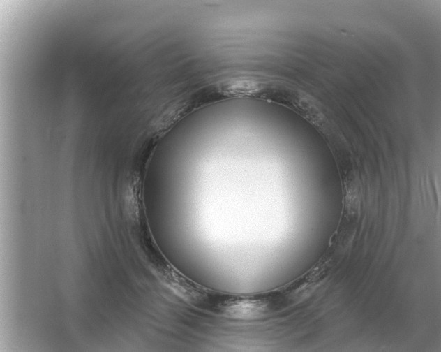 X0000066970460200604072035