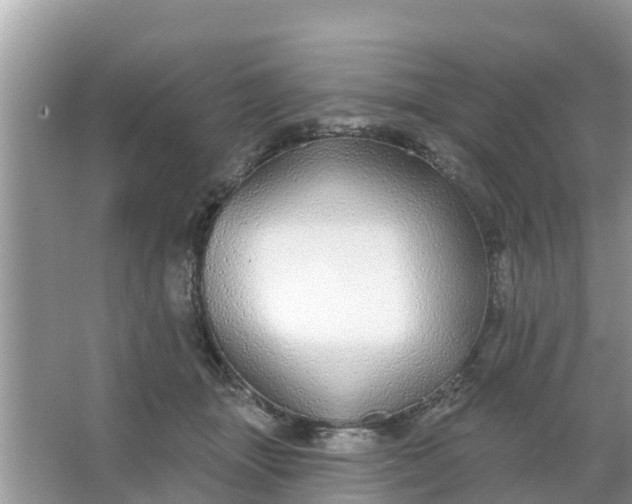 X0000066970463200604072035