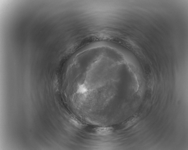 X0000066970465200604072035