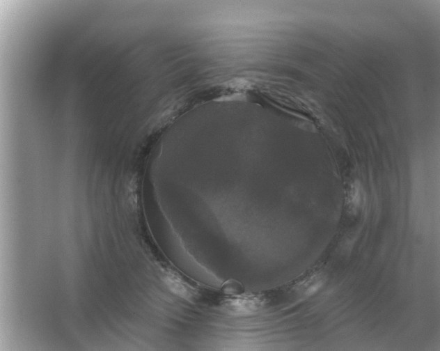 X0000066970466200604072035