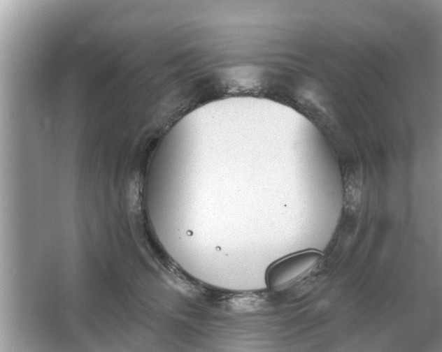 X0000066970468200604072035