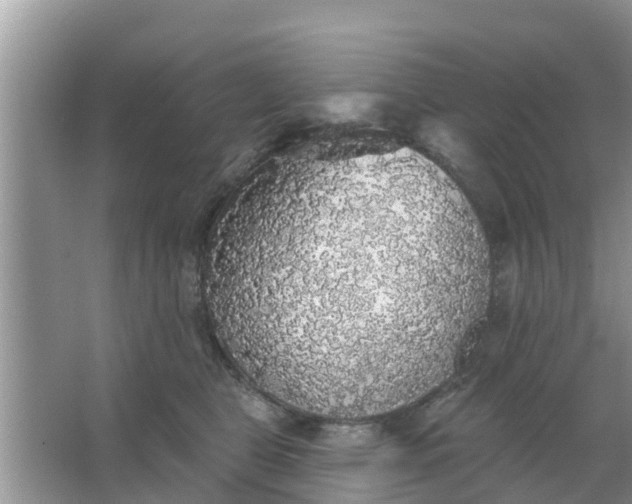 X0000066970469200604072035