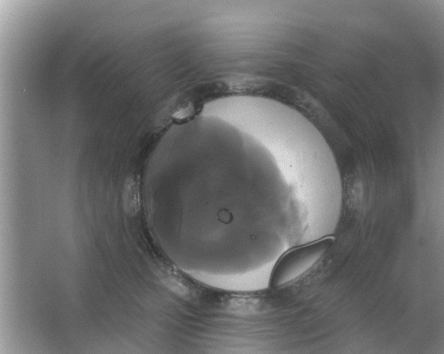 X0000066970471200604072035