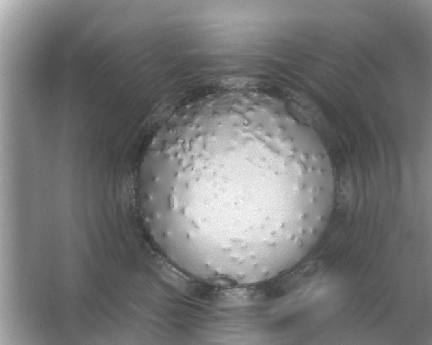 X0000066970473200604072035