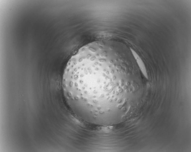 X0000066970474200604072035