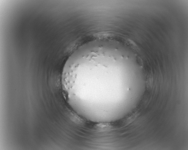 X0000066970477200604072035