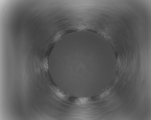 X0000066970479200604072035