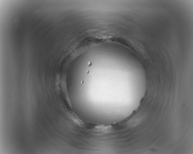 X0000066970480200604072035